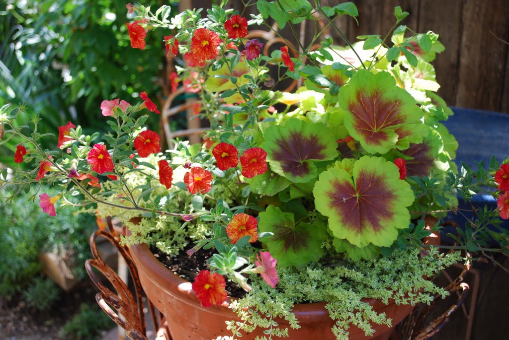 fresh containers garden container garden