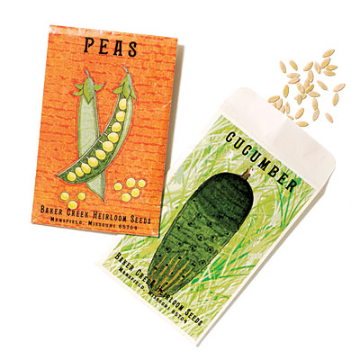 seed-packets-1209-m