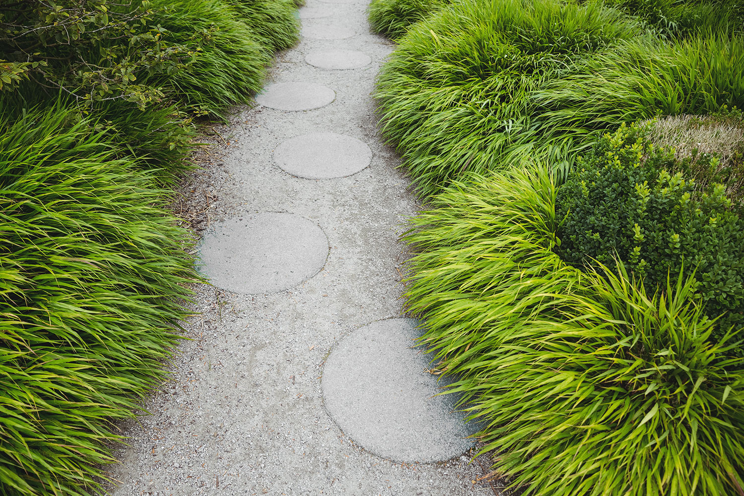 Landscape Construction Eaglemont