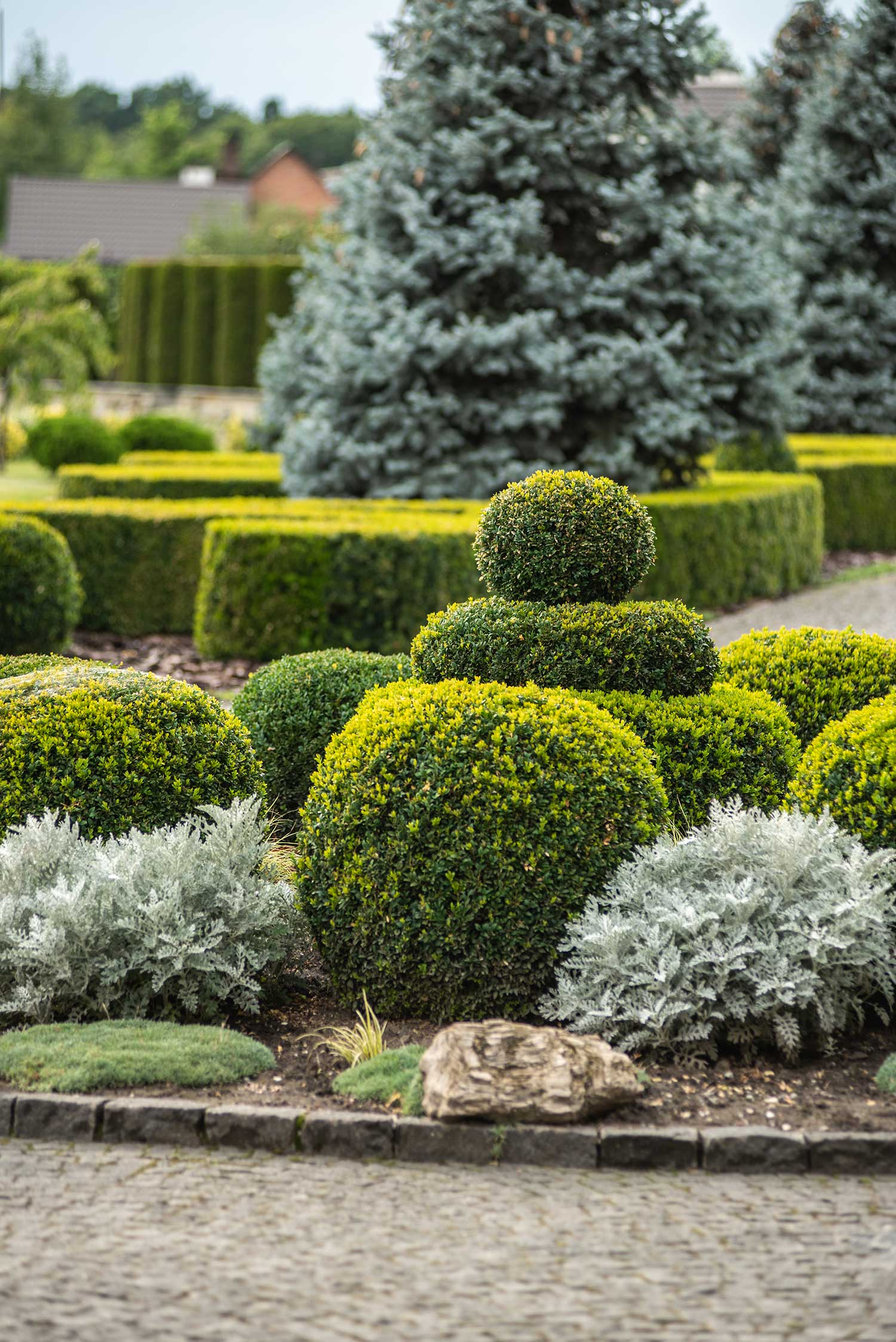 landscape consulting rosanna