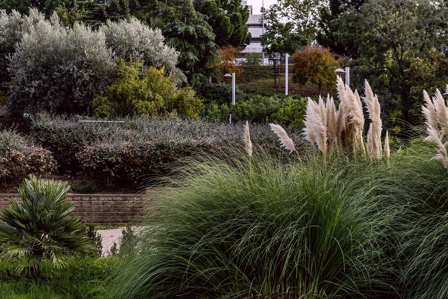 DA Approval Balwyn North