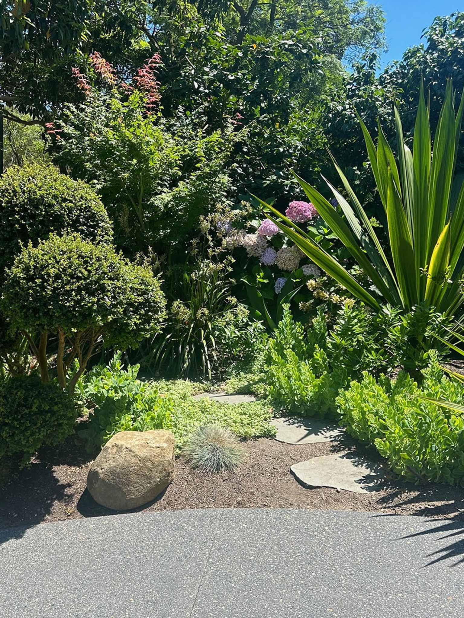 Professional Landscaping Thornbury