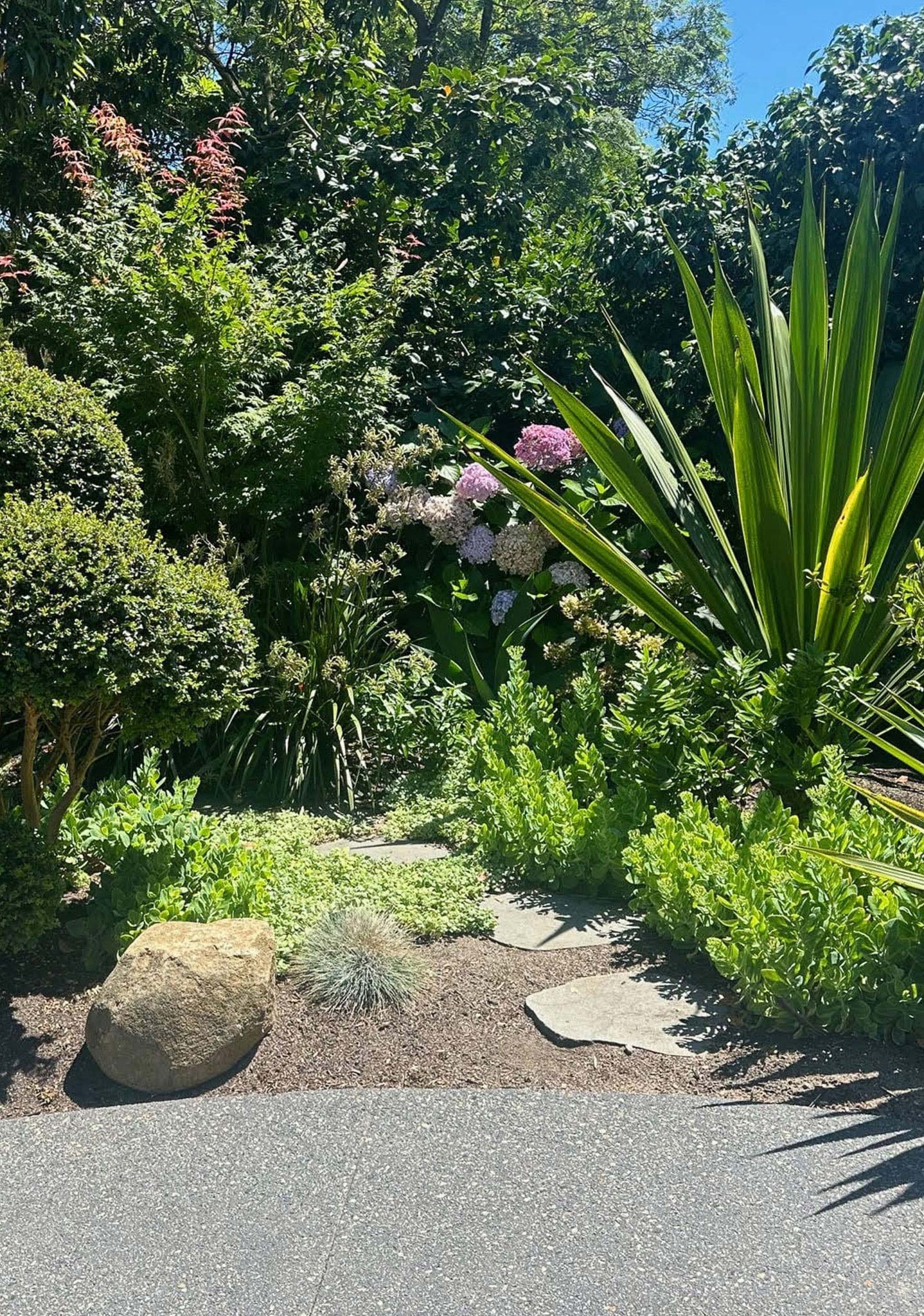 Landscaping Camberwell