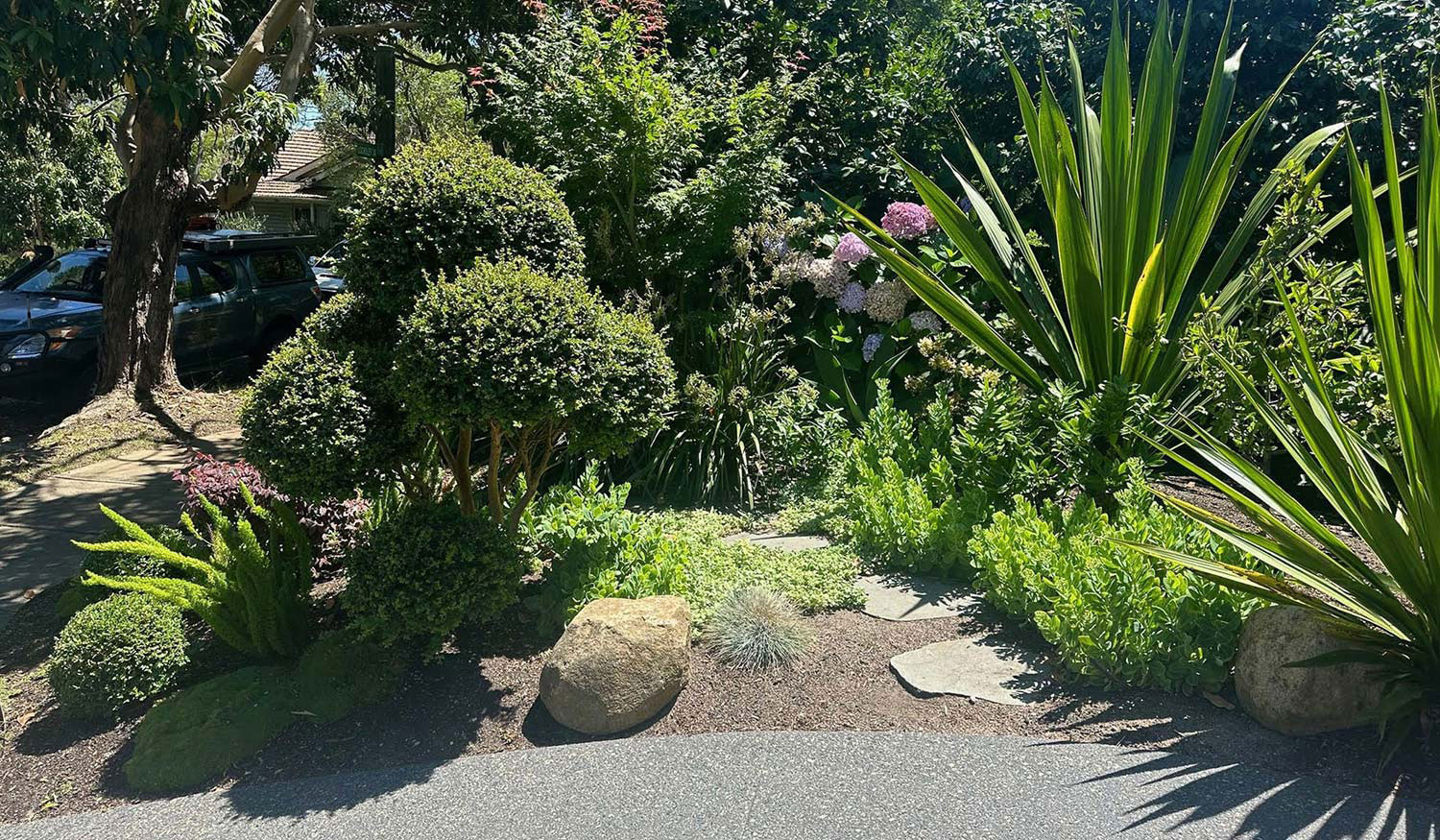 Landscaping Auburn